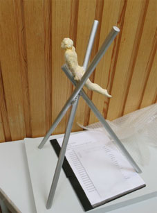 Erfolg - 2